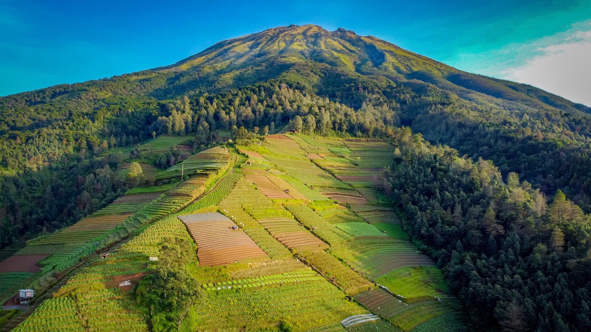 La Magelang