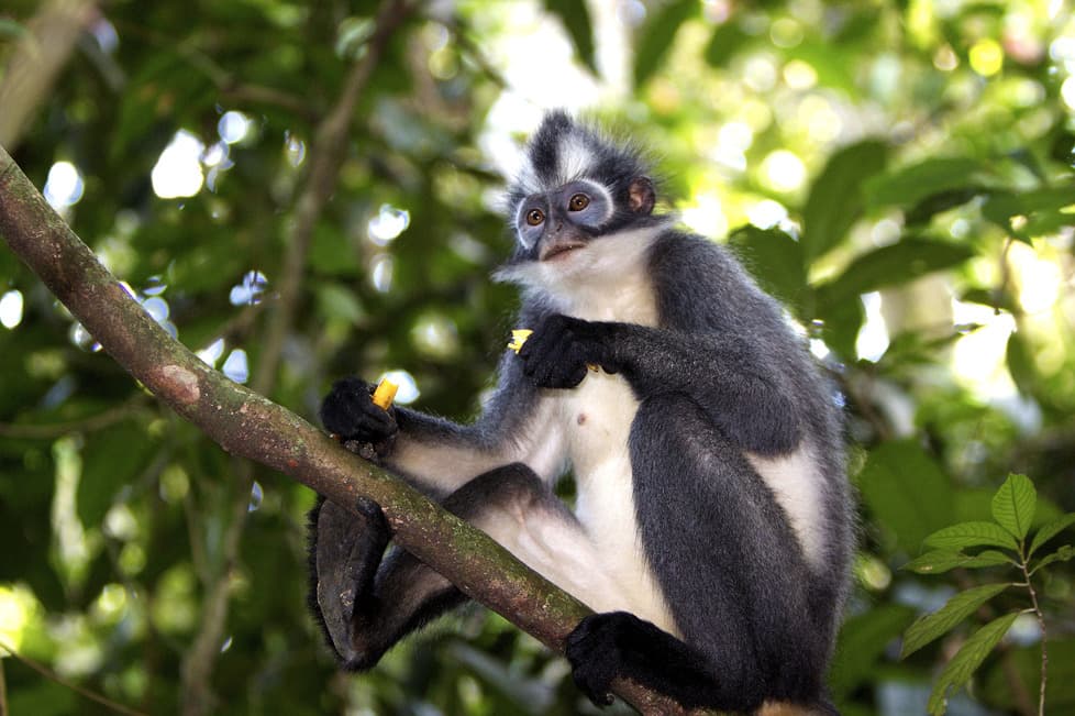 Parco nazionale del Monte Leuser