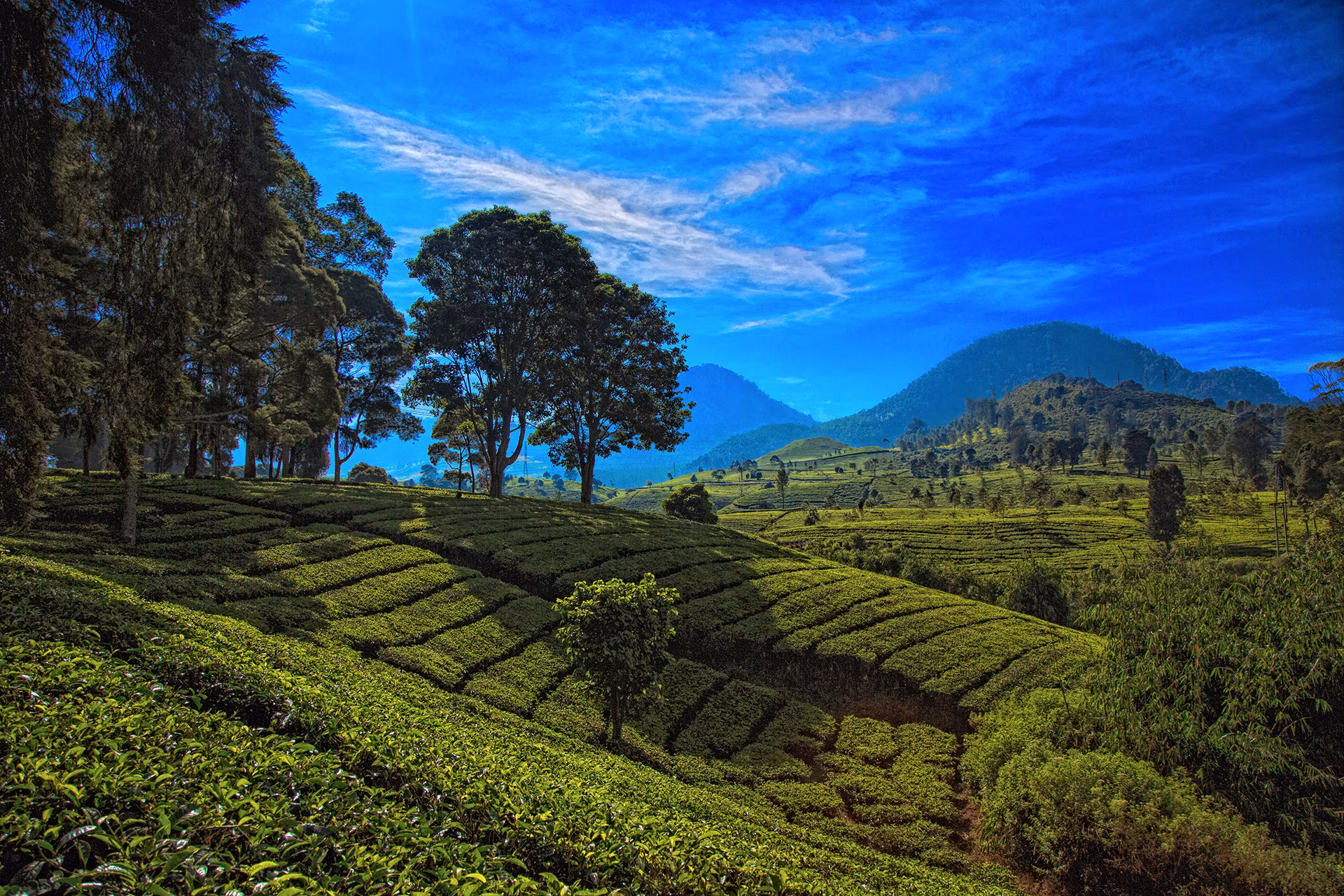 Tutta la bellezza di Java, l'isola dai mille volti (versione 21 giorni)